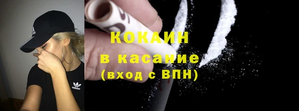 дживик Арсеньев