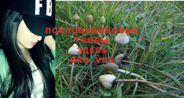 прущая мука Алексеевка