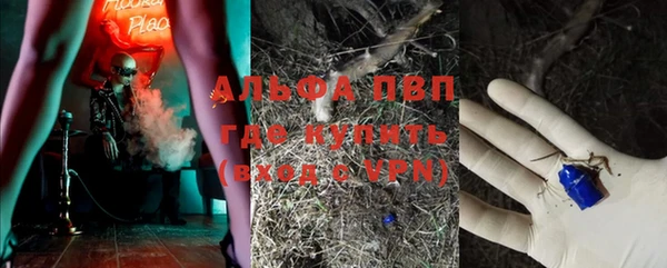 прущие грибы Алексин