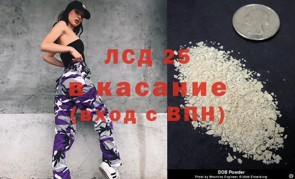 ПСИЛОЦИБИНОВЫЕ ГРИБЫ Алзамай