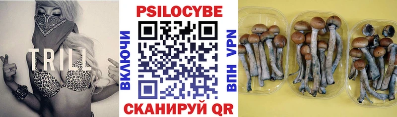 Псилоцибиновые грибы прущие грибы  Оса 